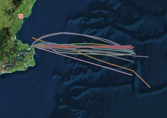 Munida Transect Ocean Carbon Data