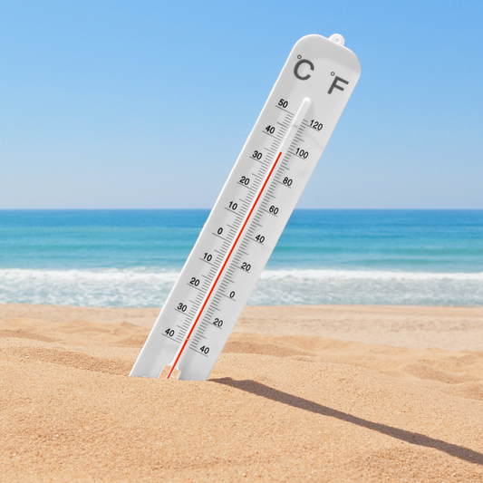 New Zealand Temperature record