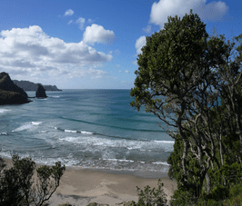 Coastal classification