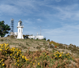 New Zealand Greenhouse gas record