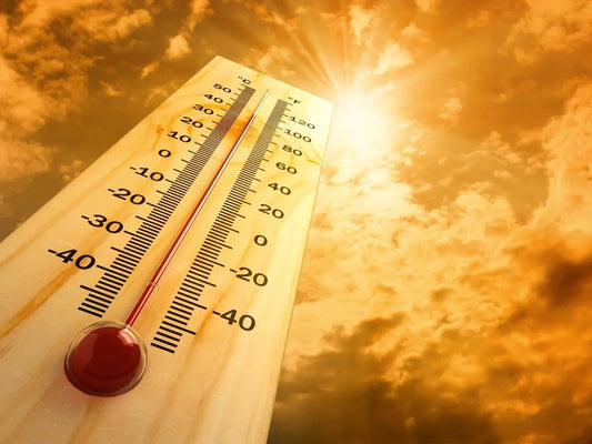 Climate change projections